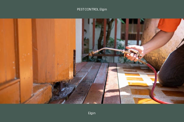 PEST CONTROL Elgin